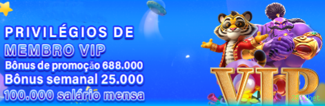 Comparação APP mobile vs versão web da 2511bet